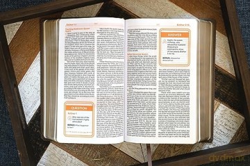 Kjv Teen Study Bible Lea Hb - Richards Lawrence O [KSIĄŻKA]