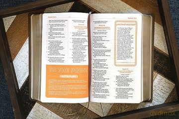 Kjv Teen Study Bible Lea Hb - Richards Lawrence O [KSIĄŻKA]
