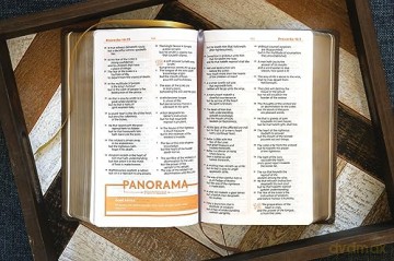 Kjv Teen Study Bible Lea Hb - Richards Lawrence O [KSIĄŻKA]