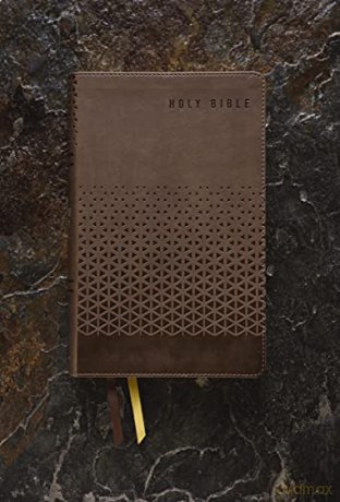 Kjv Teen Study Bible Lea Hb - Richards Lawrence O [KSIĄŻKA]