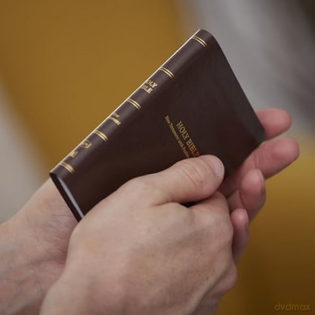 KJV, Pocket New Testament with Psalms and Proverbs, Brown Leatherflex, Red Letter, Comfort Print: KJV, New Testament With Psalms and Proverbs, Leatherflex, Brown, Red Letter, Comfort Print [KSIĄŻKA]