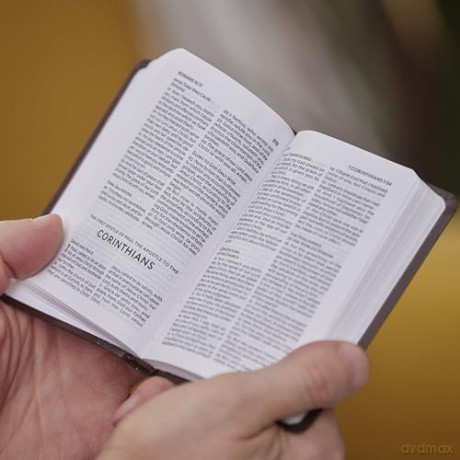 KJV, Pocket New Testament with Psalms and Proverbs, Brown Leatherflex, Red Letter, Comfort Print: KJV, New Testament With Psalms and Proverbs, White, Red Letter, Comfort Print [KSIĄŻKA]