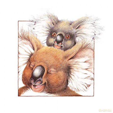 Koala Lou - Mem Fox [KSIĄŻKA]