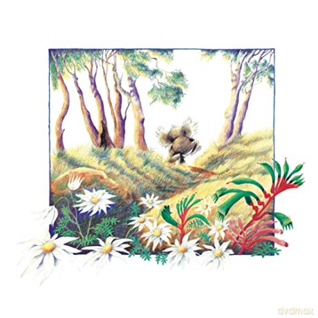 Koala Lou - Mem Fox [KSIĄŻKA]