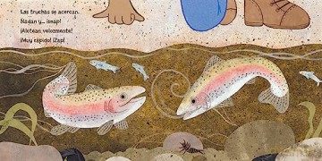 Las Truchas Estn Hechas De Rboles - April Pulley Sayre [KSIĄŻKA]