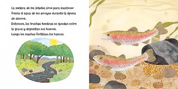 Las Truchas Estn Hechas De Rboles - April Pulley Sayre [KSIĄŻKA]