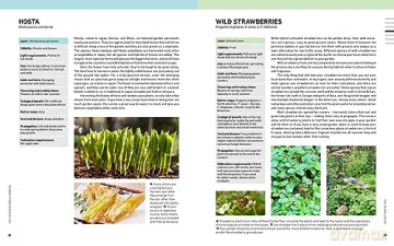 Layered Edible Garden - Christina Chung [KSIĄŻKA]