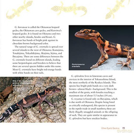 Leopard Gecko Manual - Viets Brian [KSIĄŻKA]
