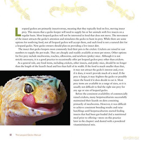 Leopard Gecko Manual - Viets Brian [KSIĄŻKA]