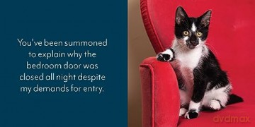 Let Me Knock That Off the Counter For You: And More Everyday Sass from Cats (Fun Gifts for Animal Lovers) - Editors Of Ulysses [KSIĄŻKA]