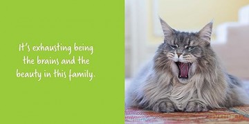 Let Me Knock That Off the Counter For You: And More Everyday Sass from Cats (Fun Gifts for Animal Lovers) - Editors Of Ulysses [KSIĄŻKA]