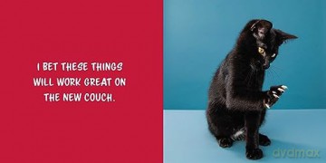 Let Me Knock That Off the Counter For You: And More Everyday Sass from Cats (Fun Gifts for Animal Lovers) - Editors Of Ulysses [KSIĄŻKA]
