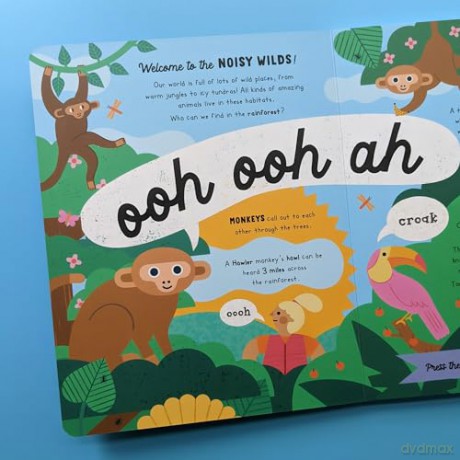 Lets Explore The Noisy Wilds Sound Book [KSIĄŻKA]