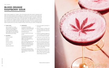 Lets Get Baked - Insight Editions [KSIĄŻKA]