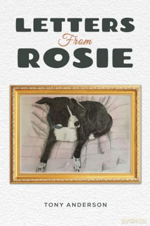 Letters From Rosie - Tony Anderson [KSIĄŻKA]
