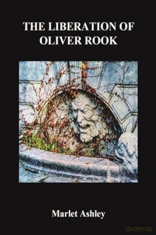 Liberation Of Oliver Rook - Marlet Ashley [KSIĄŻKA]