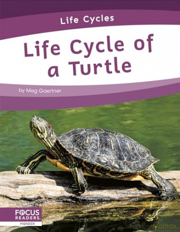 Life Cycle Of A Turtle - Meg Gaertner [KSIĄŻKA]