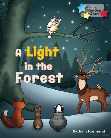 Light In The Forest - John Townsend [KSIĄŻKA]