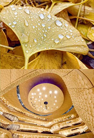 Light Nature Architecture - Ulrike Brandi [KSIĄŻKA]