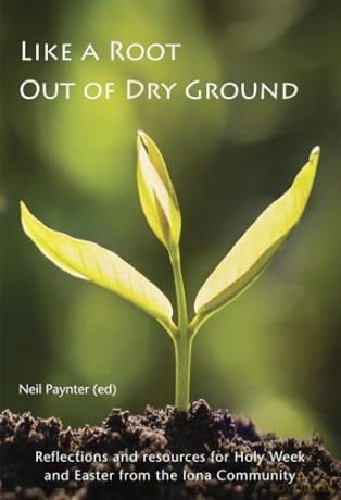 Like A Root Out Of Dry Ground - Neil Paynter [KSIĄŻKA]