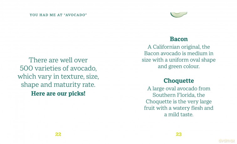 Little Book Of Avocado - Orange Hippo [KSIĄŻKA]