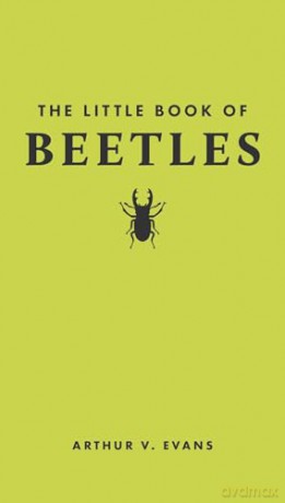 Little Book Of Beetles - Arthur V Evans [KSIĄŻKA]