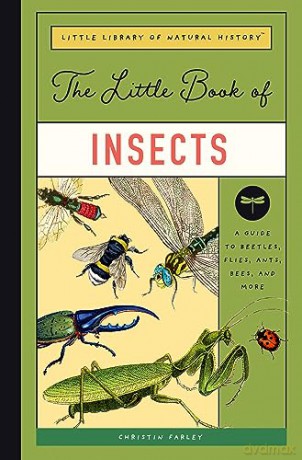 Little Book Of Insects - Forrest Everett [KSIĄŻKA]