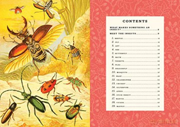 Little Book Of Insects - Forrest Everett [KSIĄŻKA]