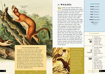 Little Book Of North American Animals - Forrest Everett [KSIĄŻKA]