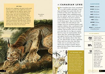 Little Book Of North American Animals - Forrest Everett [KSIĄŻKA]