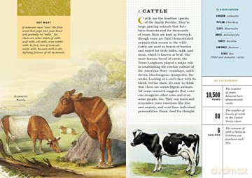 Little Book Of North American Animals - Forrest Everett [KSIĄŻKA]