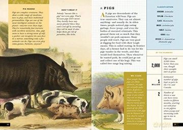Little Book Of North American Animals - Forrest Everett [KSIĄŻKA]