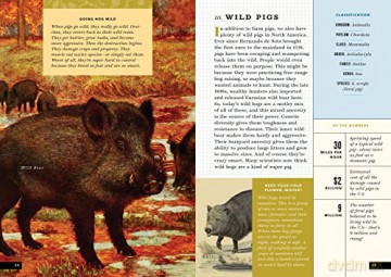 Little Book Of North American Animals - Forrest Everett [KSIĄŻKA]