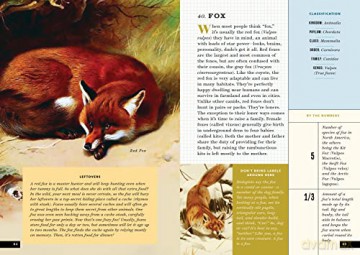 Little Book Of North American Animals - Forrest Everett [KSIĄŻKA]