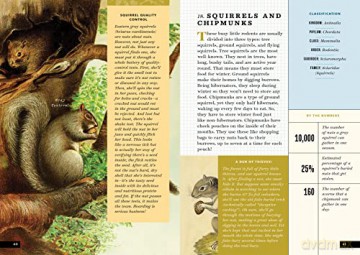 Little Book Of North American Animals - Forrest Everett [KSIĄŻKA]