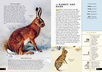 Little Book Of North American Animals - Forrest Everett [KSIĄŻKA]