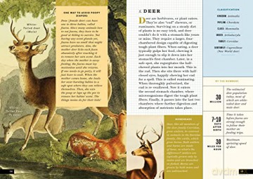 Little Book Of North American Animals - Forrest Everett [KSIĄŻKA]