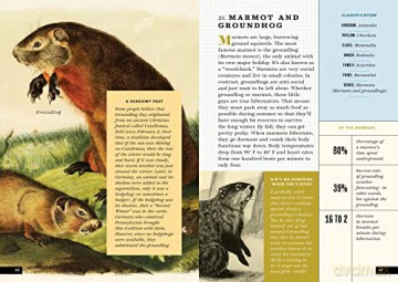 Little Book Of North American Animals - Forrest Everett [KSIĄŻKA]