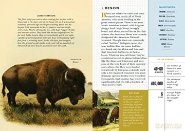 Little Book Of North American Animals - Forrest Everett [KSIĄŻKA]