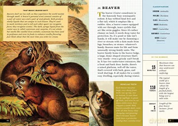 Little Book Of North American Animals - Forrest Everett [KSIĄŻKA]