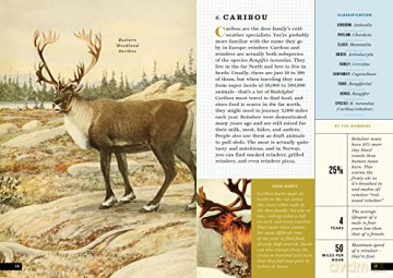 Little Book Of North American Animals - Forrest Everett [KSIĄŻKA]