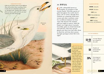 Little Book Of North American Birds - Forrest Everett [KSIĄŻKA]