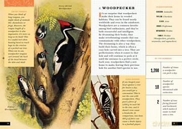 Little Book Of North American Birds - Forrest Everett [KSIĄŻKA]