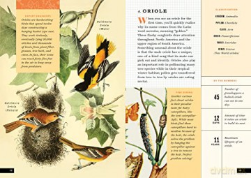 Little Book Of North American Birds - Forrest Everett [KSIĄŻKA]