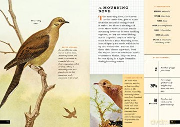 Little Book Of North American Birds - Forrest Everett [KSIĄŻKA]