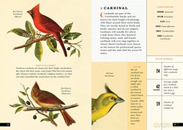 Little Book Of North American Birds - Forrest Everett [KSIĄŻKA]