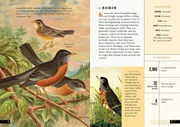 Little Book Of North American Birds - Forrest Everett [KSIĄŻKA]