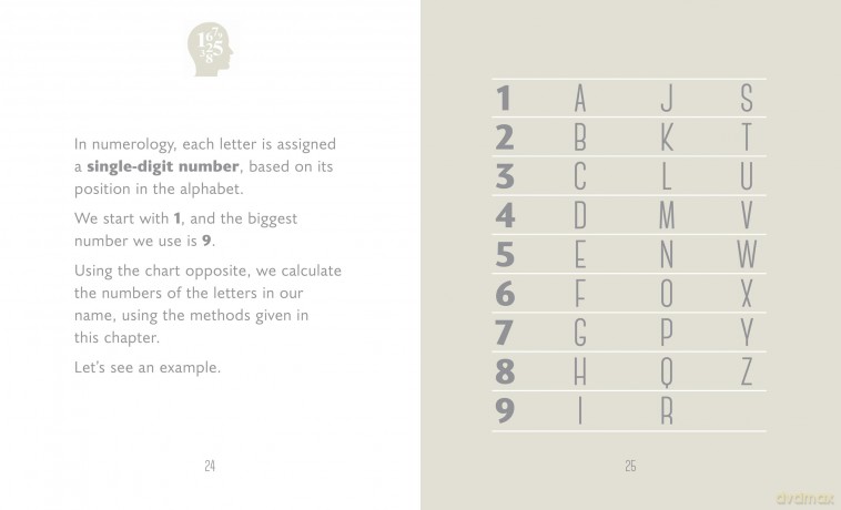 Little Book Of Numerology - Orange Hippo [KSIĄŻKA]