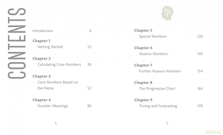 Little Book Of Numerology - Orange Hippo [KSIĄŻKA]