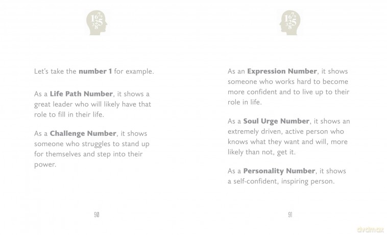 Little Book Of Numerology - Orange Hippo [KSIĄŻKA]